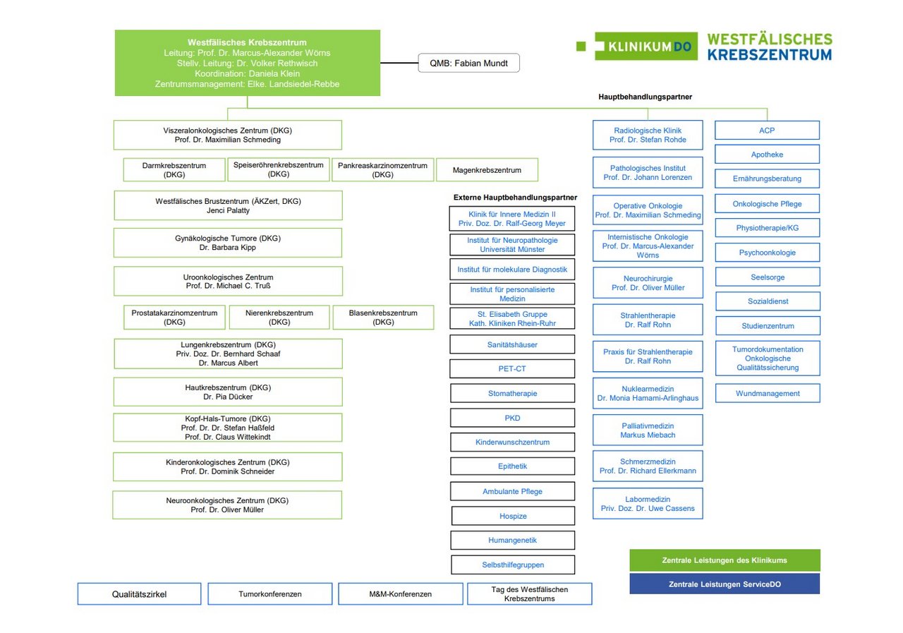 Organigramm Tumorzentrum